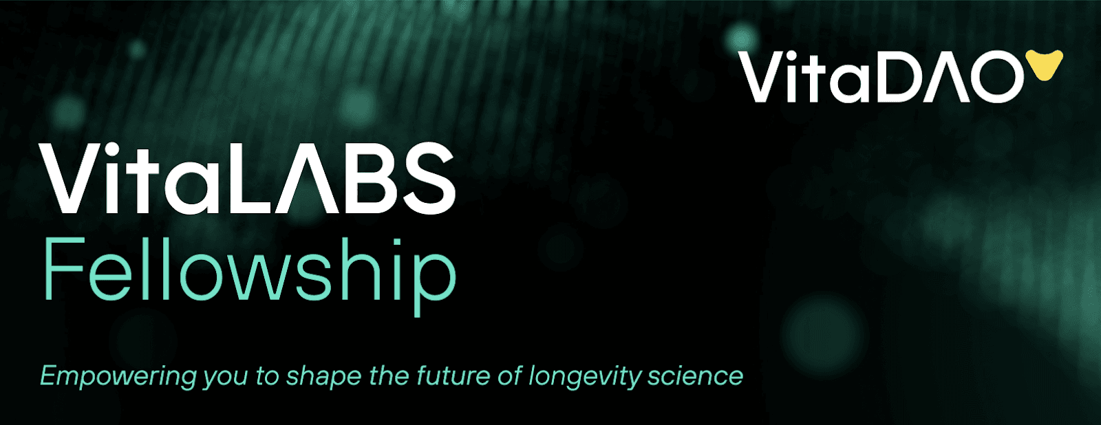 VitaLabs banner
