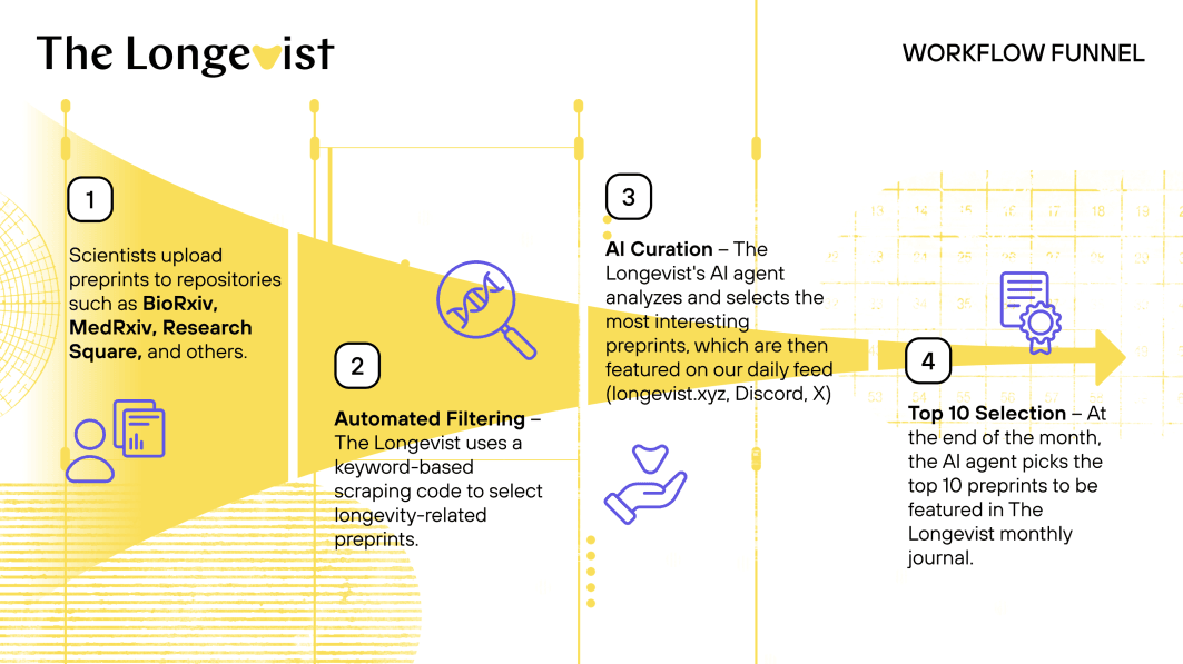 The Longevist workflow funnel