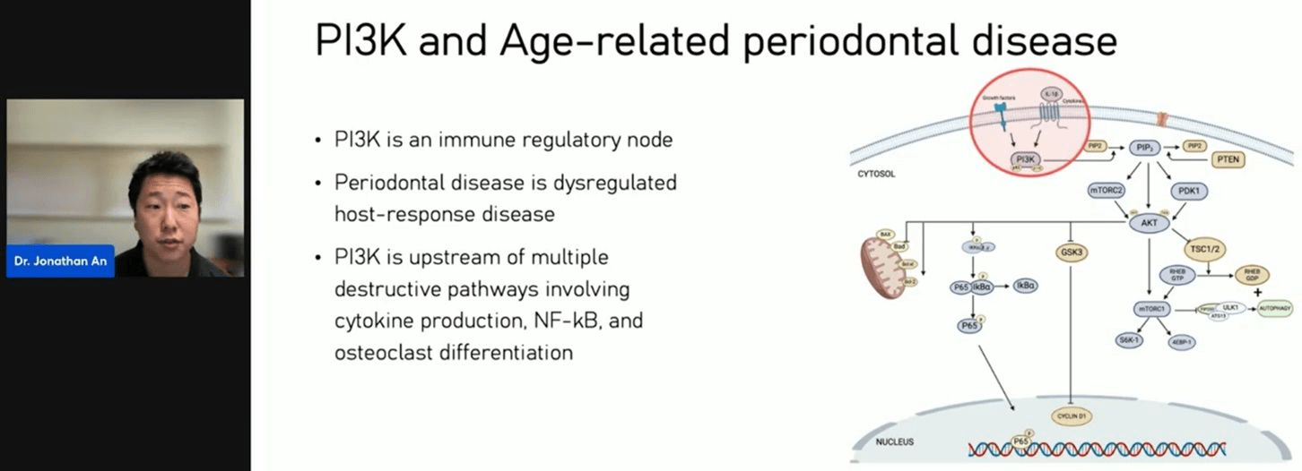 PI3K and age-related periodontal disease